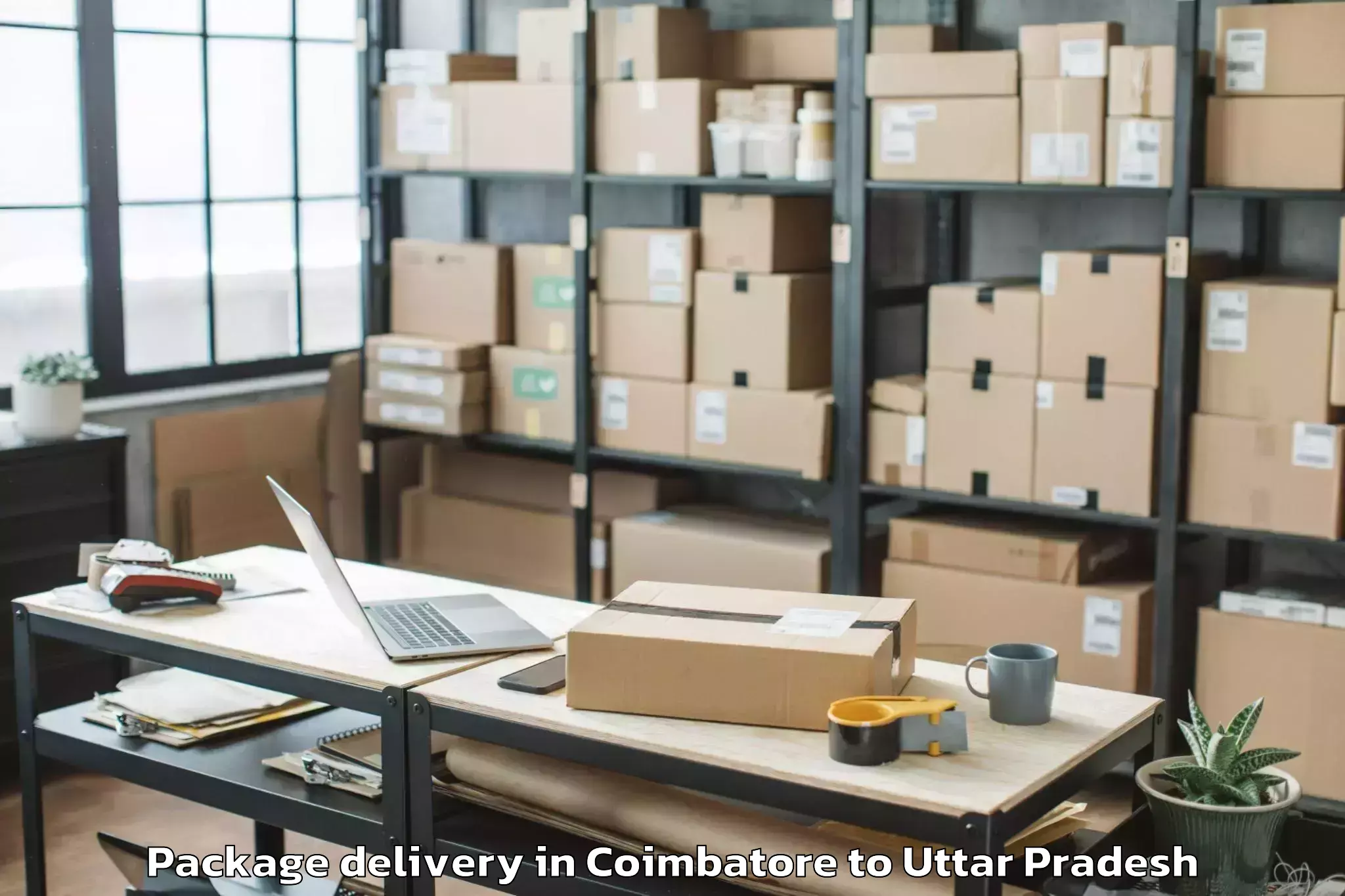 Reliable Coimbatore to Tirwa Package Delivery